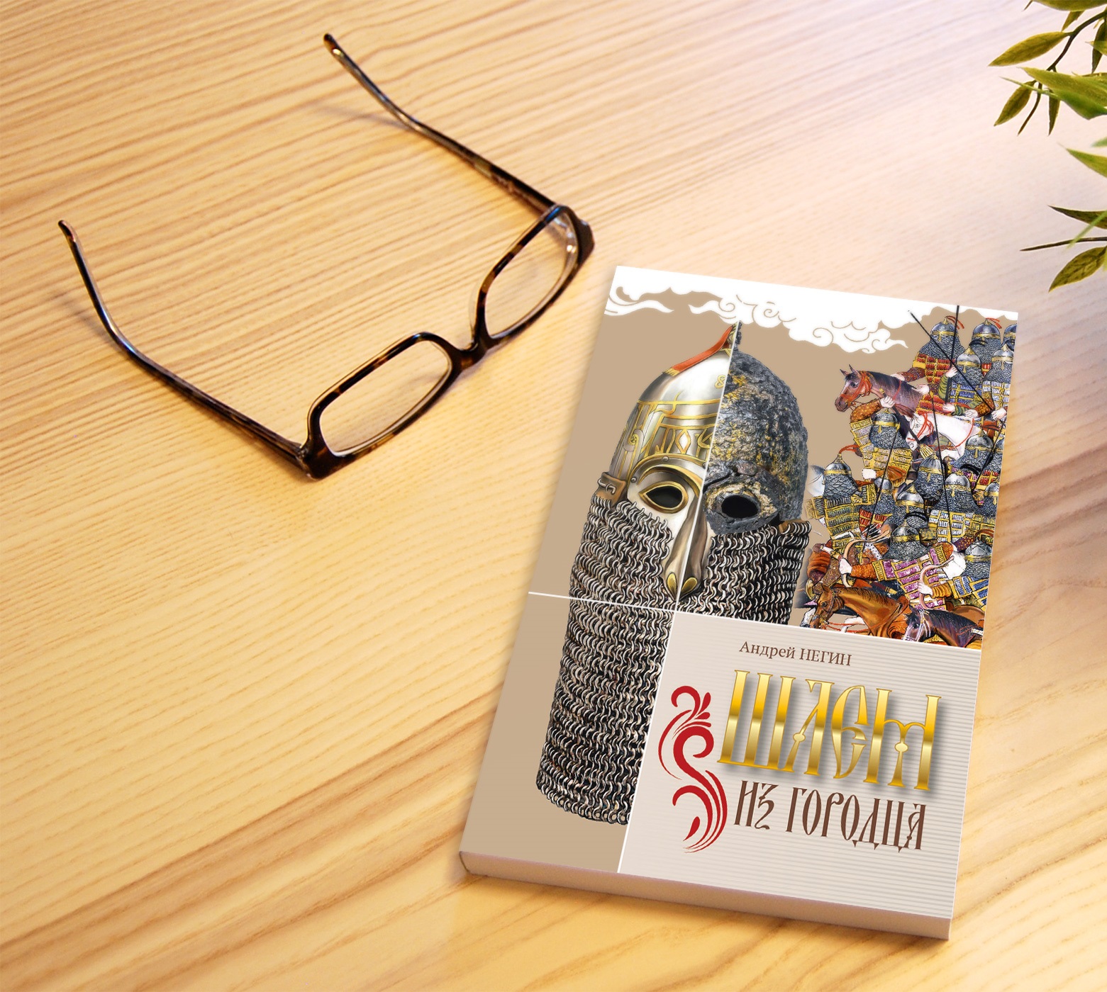 20240313 негин книга