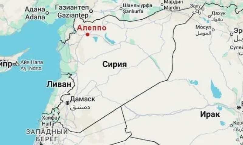 Выпускница ИМОМИ защитила диссертацию о международных отношениях Сирии в условиях изоляции 