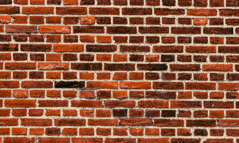 Преподаватель ИМОМИ выступит с лекцией в создаваемом клубе брикофилов